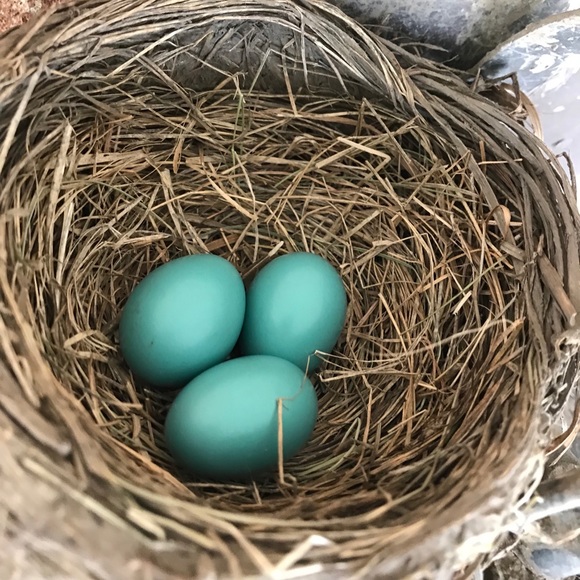 Meet your Posher, A Little Bit Extra!! - Picture 15 of 16